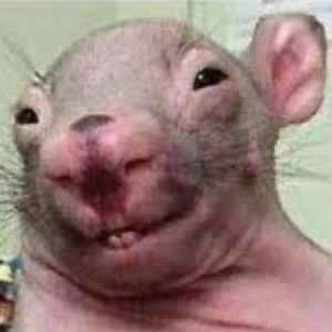 Meet your Posher, Malajia